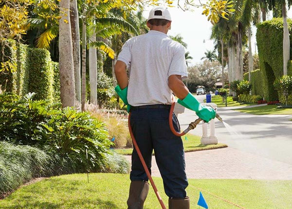 About Cadiz KY Pest Control